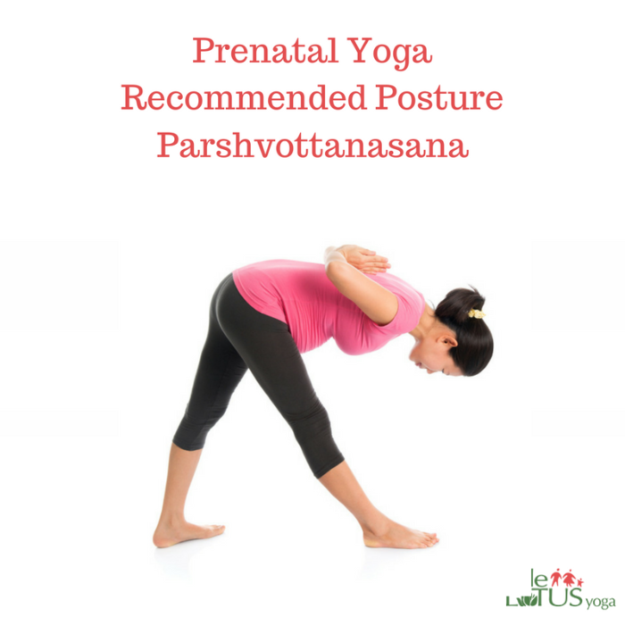 Prenatal Asana – Parshvottanasana